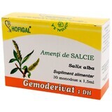 Gomme de saule piquante Gemoderivaat, 30 unidoses, Hofigal