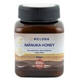 Miele di Manuka MGO 850+, 250g, Melora