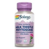 Milk Thistle Phytosome Solaray, 30 capsule, Secom