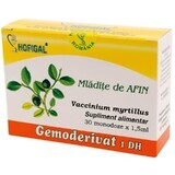 Mladite de Afin Gemoderivat, 30 doze, Hofigal