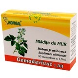 Bourgeon mural Gemoderivat, 30 doses, Hofigal