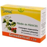 Meidoornknoppen Gemoderivat, 30 Hofigal tabletten eenmalige dosis