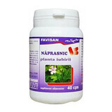 Naprasnic, 40 capsule, Favisan