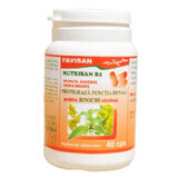 Nutrisan R2, 40 Kapseln, Favisan