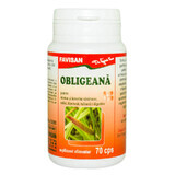 Obligeane, 70 gélules, Favisan