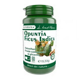 Opuntia Ficus Indica, 60 capsules, Pro Natura