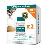 Cystone Paket, 60 + 60 Tabletten, Himalaya (10% Rabatt)