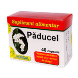 Paducel, 40 Kapseln, Hofigal