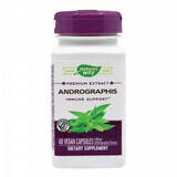 Andrographis SE Nature's Way, 60 Kapseln, Secom