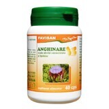 Artisjok, 40 capsules, Favisan