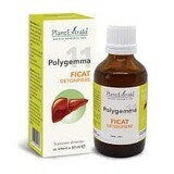 Polygemma 11 Liver Detox, 50 ml, Extraits de plantes