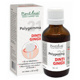 Polygemma 21 Zähne, Zahnfleisch, 50 ml, Pflanzenextrakt