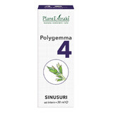 Polygemma 4, Nasennebenhöhlen, 30 ml, Pflanzenextrakt