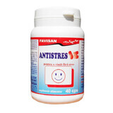 Antistress, 40 capsules, Favisan