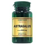 Extrait d'Astragale Premium 9000mg, 30 gélules, Cosmopharm