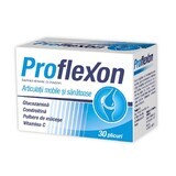 Proflexon, 30 sachets, Natur Produkt