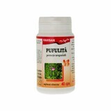 Pufulita, 40 gélules, Favisan