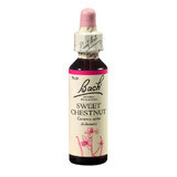 Flower Remedy Sweet Chestnut Original Bach Eetbare Kastanjedruppels, 20 ml, Rescue Remedy