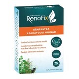 Renofix Stancosimagne, 75 capsule, Doppelherz