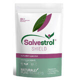 Salvestrol Shield, 60 capsules, Hyperfarm