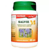 Salvia, 40 capsule, Favisan