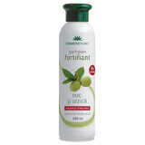 Shampoo fortificante con noce e ortica, 250 ml, pianta cosmetica