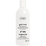 Shampooing fortifiant pour les cheveux au lait de chèvre et à la kératine, 400 ml, Ziaja