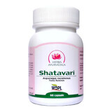 Shatavari, 60 capsule, Herba Ayurvedica