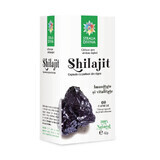 Shilajit, 60 gélules, Divine Star