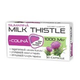 Silimarină + Colina Milk Thistle 1000mg, 30 capsule, Zdrovit