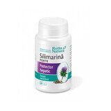 Silymarin Forte leverbeschermer, 30 capsules, Rotta Natura