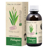 Patlagin-Sirup, 200 ml, Werk Dacia