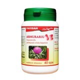 Armourarium, 40 capsules, Favisan