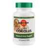 Super Coriolus Mushroom Wisdom, 120 tablet, Secom