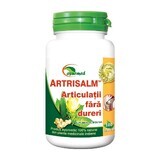 Artrisalm, 100 Tabletten, Ayurmed