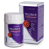 Telom-R Cardiovascular, 120 capsule, Dvr Pharm