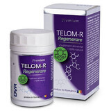 Telom-R Regenerare, 120 capsule, Dvr Pharm