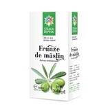 Teinture de maslin, 50 ml, Divine Star