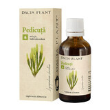 Pedicutica Tinktur, 50 ml, Dacia Plant