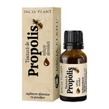 Propolis-Tinktur, 20 ml, Dacia Pflanze