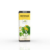 Tinctura de rostopasca, 200 ml, Dorel Plant