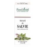 Tintura di salvia, 50 ml, estratto vegetale