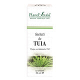 Teinture de Tuia, 30 ml, Plant Extrakt