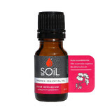 Etherische olie Rozenbottel Etherische olie 100% biologisch, 10 ml, SOiL