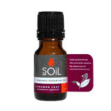 100% zuivere biologische kaneel etherische olie, 10 ml, SOiL