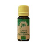 Ulei esential de arbore de ceai australian, 10 ml, Herbavit