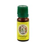 Eucalyptus etherische olie, 10 ml, Solaris