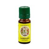 Olio essenziale di lavanda, 10 ml, Solaris