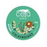 Pommade cicatrisante, 40 g, Ceta Sibiu