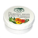 Unguent de galbenele, argan și ulei de măsline, 20 g, Ceta Sibiu